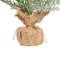 17.5" Unlit Flocked Artificial Christmas Tree with Burlap Base